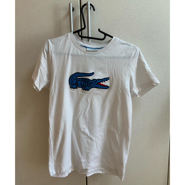 LACOSTE(ラコステ)のラコステ　メンズTシャツ　XS 女性着用 レディースのトップス(Tシャツ(半袖/袖なし))の商品写真