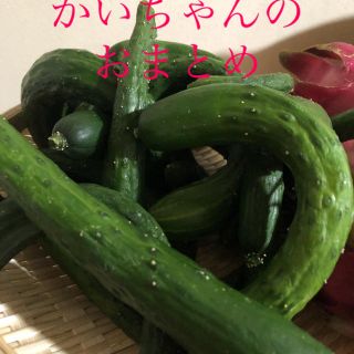 かいちゃんのオマトメ(その他)