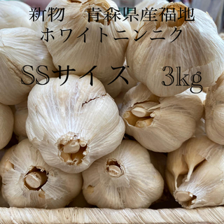 新物青森県産福地ホワイトニンニク　SSサイズ3kg(野菜)