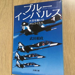 ブルーインパルス　大空を駆けるサムライたち(航空機)