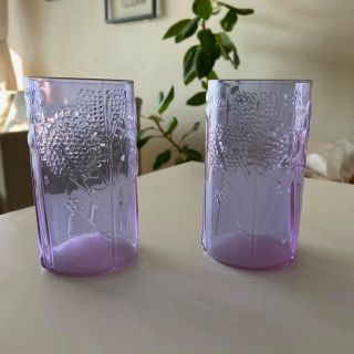 イッタラ(iittala)の【2点セット】入手困難 ヌータヤルヴィ / フローラ タンブラー アメジスト(タンブラー)