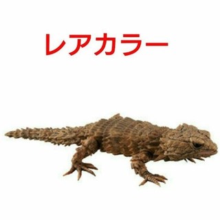 最終値下げ　アルマジロトカゲ(レア) 07ダンゴムシ だんごむしガチャ ガシャ(模型/プラモデル)