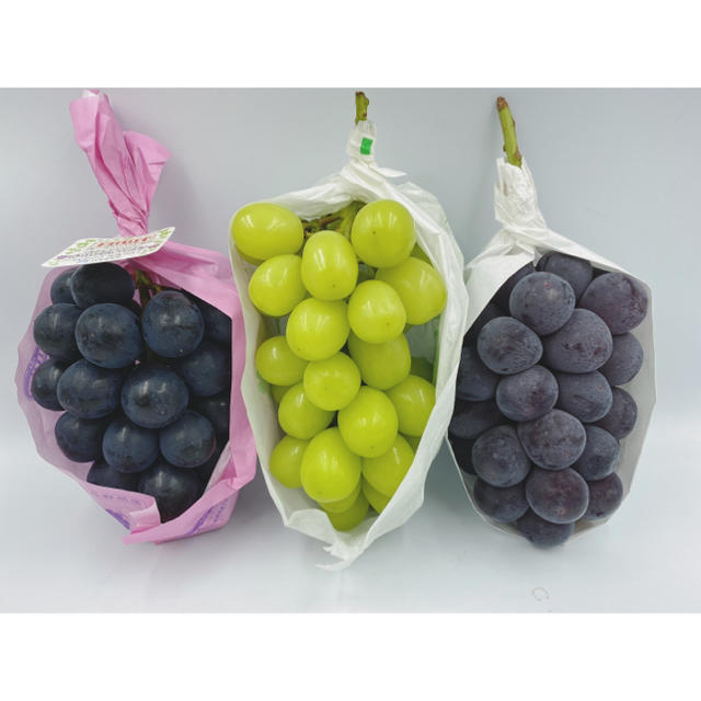 食べ比べセット🍇　ナガノパープル1房　シャインマスカット1房　ピオーネ1房 食品/飲料/酒の食品(フルーツ)の商品写真