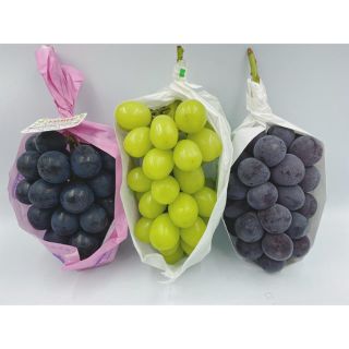 食べ比べセット🍇　ナガノパープル1房　シャインマスカット1房　ピオーネ1房(フルーツ)