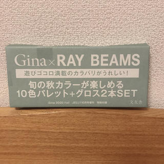レイビームス(Ray BEAMS)のGina付録　RAY BEAMS10色パレット・グロス2本セット(アイシャドウ)