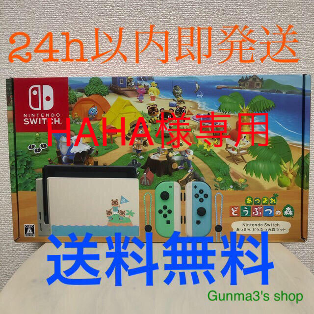 あつまれ どうぶつの森 セット Nintendo Switch