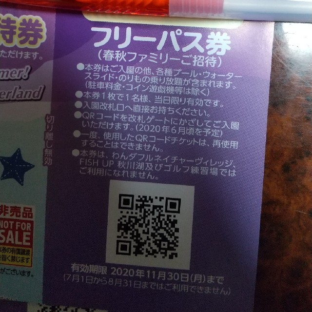 (二枚分)東京サマーランドフリーパス券　ペア チケットの施設利用券(遊園地/テーマパーク)の商品写真