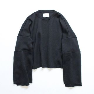 サンシー(SUNSEA)のstein / シュタイン EX SLEEVE KNIT LS(ニット/セーター)