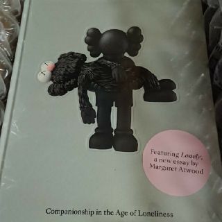 メディコムトイ(MEDICOM TOY)のkaws COMPANIONSHIP THE AGE OF LONELINESS(その他)