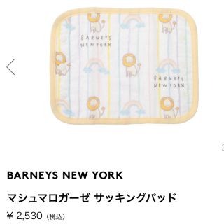 バーニーズニューヨーク(BARNEYS NEW YORK)のバーニーズニューヨーク　サッキングパッド(抱っこひも/おんぶひも)