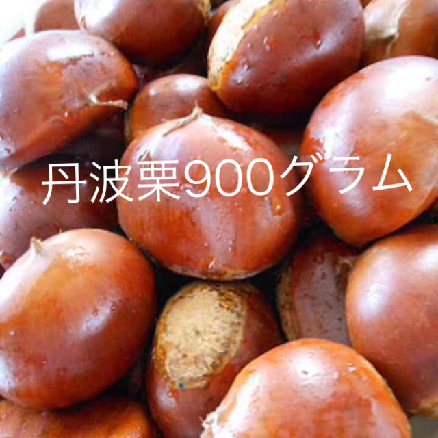 丹波栗　900グラム 食品/飲料/酒の食品(野菜)の商品写真