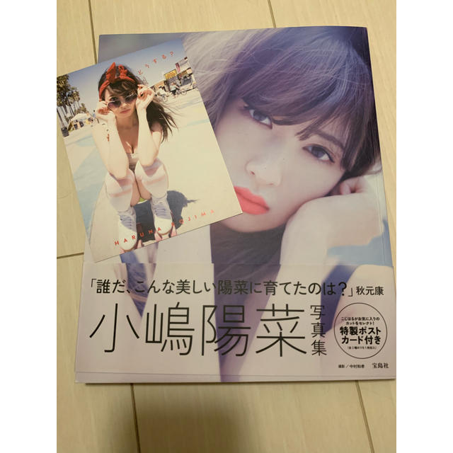 どうする？ 小嶋陽菜　こじはる　写真集 エンタメ/ホビーの本(アート/エンタメ)の商品写真