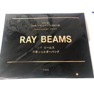 レイビームス(Ray BEAMS)のSPRING 9月号　付録　RAY BEAMS巾着ショルダーバッグ(ショルダーバッグ)