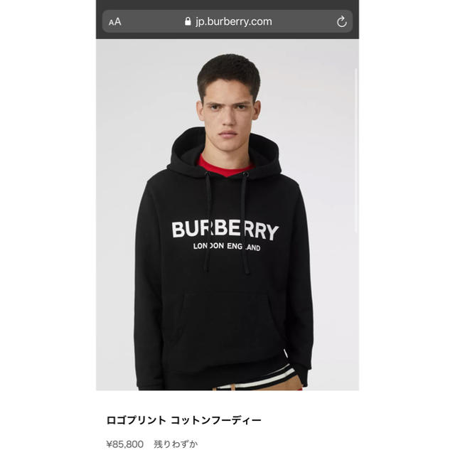 BURBERRY(バーバリー)の正規品　Burberry スウェット　ロゴパーカー　新品未使用 メンズのトップス(パーカー)の商品写真