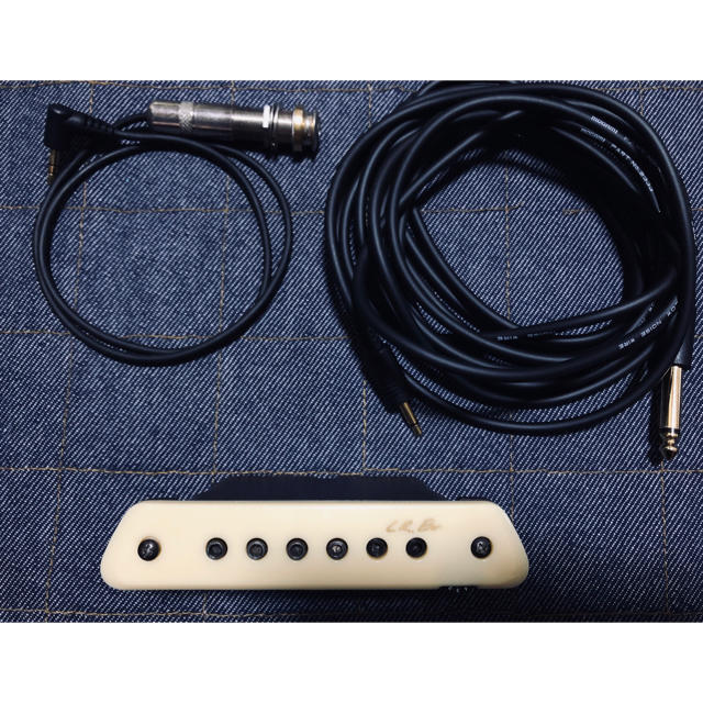 激安人気新品 L.R.Baggs / M1 Active Soundhole Pickup 楽器 tripkicks.com