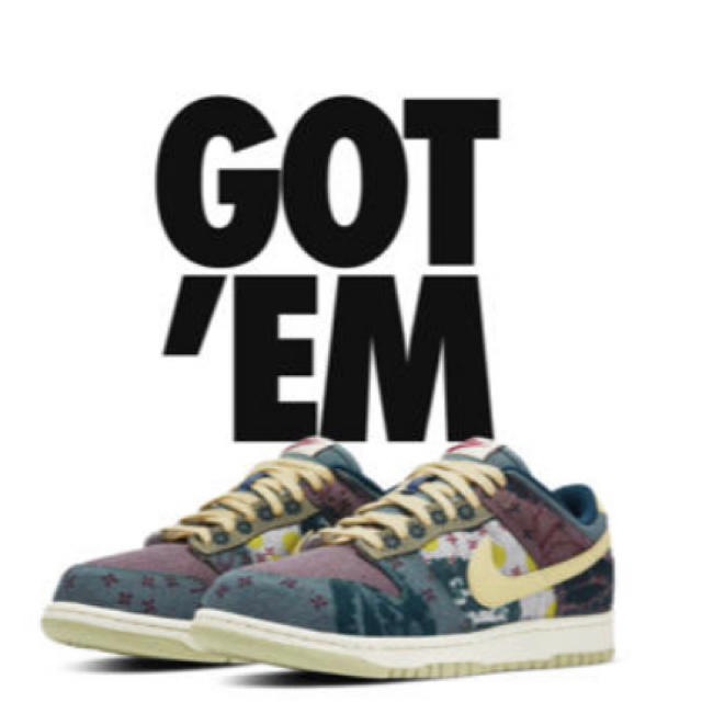 靴/シューズNike Dunk Low Sb Community Garden 24.5