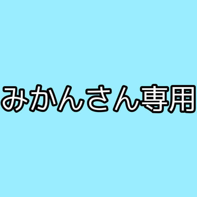 みかんさん専用 その他のその他(その他)の商品写真