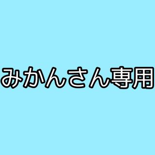 みかんさん専用(その他)