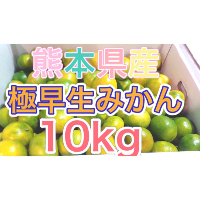 熊本県産極早生みかん10kg 食品/飲料/酒の食品(フルーツ)の商品写真