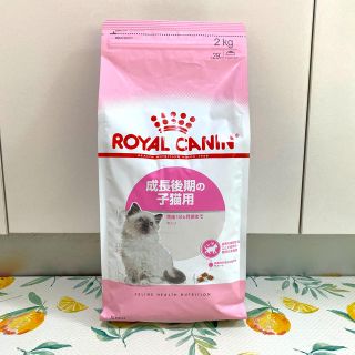 ロイヤルカナン(ROYAL CANIN)のロイヤルカナン 猫用餌(ペットフード)