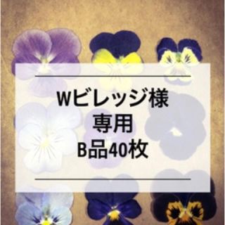 ビオラの押し花(その他)