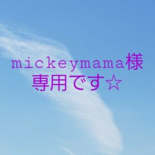 mickeymama様専用です☆ ご注意ください！(外出用品)