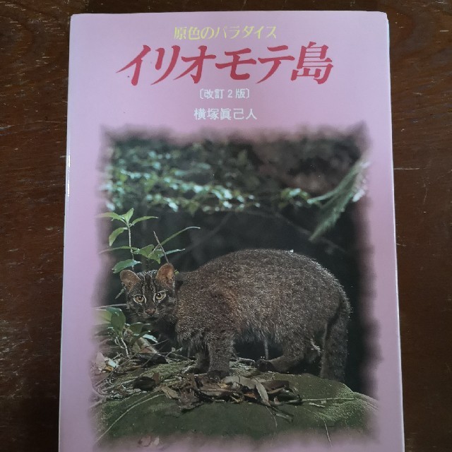 【沖縄好き必見！！】いのちはみんなつながっている 西表生態学 エンタメ/ホビーの本(文学/小説)の商品写真