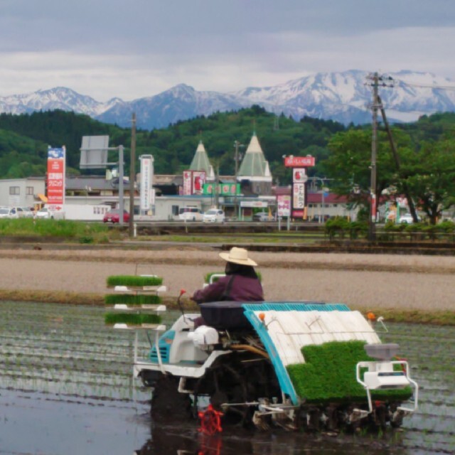 ✳️値下げ令和2年産✳️ 信越地方限定  富山県産1等米コシヒカリ玄米30㎏  食品/飲料/酒の食品(米/穀物)の商品写真