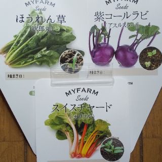 野菜の種３種(その他)