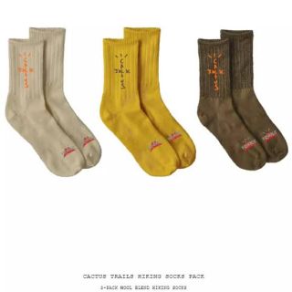 カクタス(CACTUS)のCACTUS TRAILS HIKING SOCKS PACK　3足セット(ソックス)