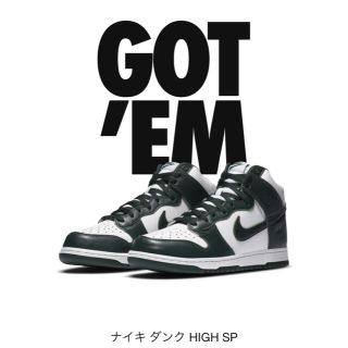 ナイキ(NIKE)のNIKE DUNK HI SP  28.0(スニーカー)