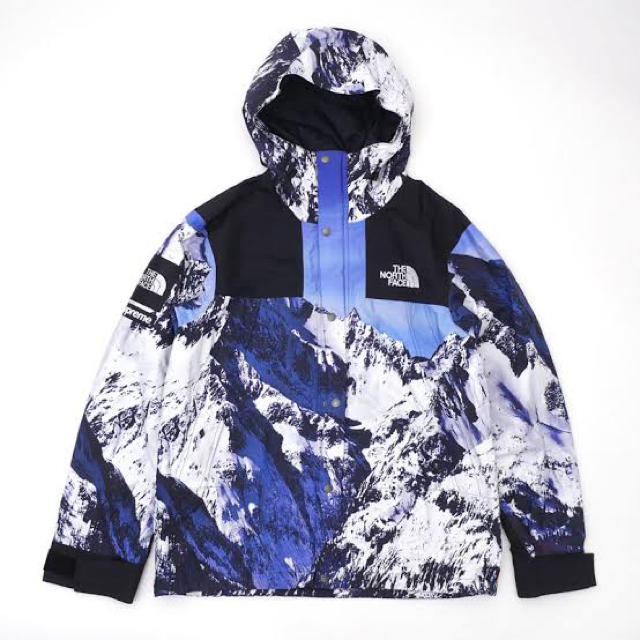 Supreme/The North Face Mountain Parka