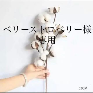 コットンフラワー　造花　フェイク一輪(ドライフラワー)