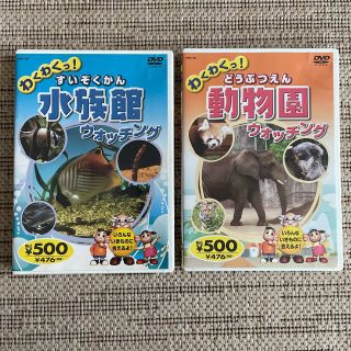 キープ(keep)のDVD わくわくっ! シリーズ  動物園　水族館　ウォッチング(キッズ/ファミリー)