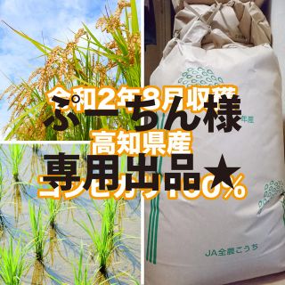 高知県産 新米コシヒカリ100% 15kg 精米込-高知市内直接手渡し可能な方