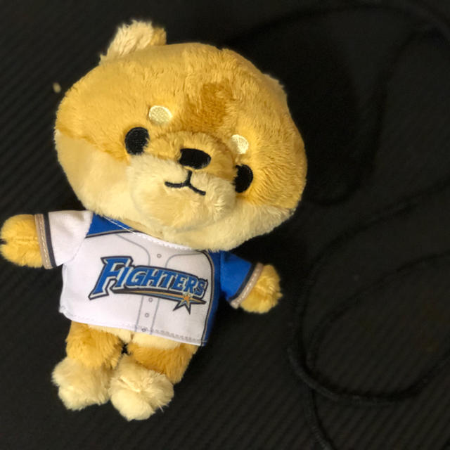 北海道日本ハムファイターズ(ホッカイドウニホンハムファイターズ)のプロ野球 パリーグ しば犬 ぬいぐるみ がまぐちポシェット 日本ハム 西川遥輝 エンタメ/ホビーのタレントグッズ(スポーツ選手)の商品写真