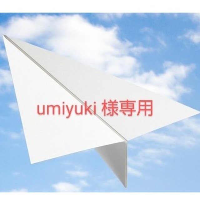 国内正規総代理店アイテム】 【umiyuki 様専用出品】 チケット | bca