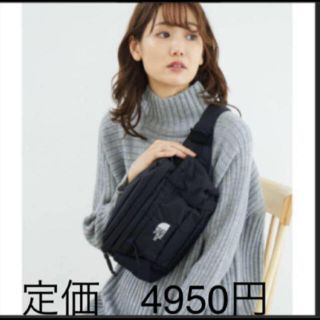 ザノースフェイス(THE NORTH FACE)の【未開封新品】ノースフェイス　ボディーバッグ　5L 黒色　男女兼用　SPINA(ボディバッグ/ウエストポーチ)