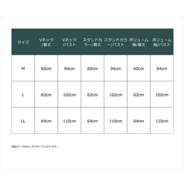 ニッセン(ニッセン)のちゃい0828様専用　未使用レディース ブラウス オフホワイト Vネック LL レディースのトップス(シャツ/ブラウス(長袖/七分))の商品写真