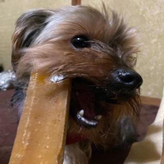 愛犬大好　チュルピ ヤクチーズ 100% ナチュラル 無添加 約500g