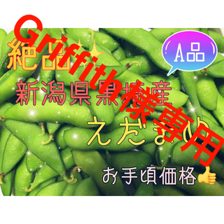 【肴豆】【10/5発送で最後！！】新潟県 黒埼産 えだまめ 5kg  A品 (野菜)