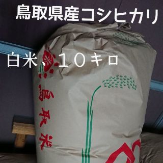 白米、１０キロ、令和２年鳥取県産,コシヒカリ(米/穀物)