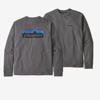 パタゴニア(patagonia)の⭐︎Patagonia新品⭐︎ P-6ロゴ　スウェット　size S(スウェット)