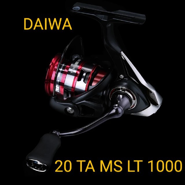 DAIWA 20 TA MS(ダイワ テイーエー エムエス) LT 1000