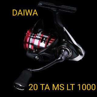DAIWA 20 TA MS(ダイワ テイーエー エムエス) LT 1000-