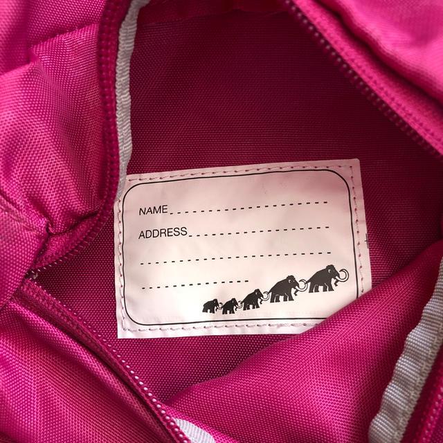 Mammut(マムート)のマムート　キッズ  デイパック16L キッズ/ベビー/マタニティのこども用バッグ(リュックサック)の商品写真