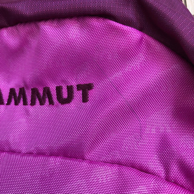 Mammut(マムート)のマムート　キッズ  デイパック16L キッズ/ベビー/マタニティのこども用バッグ(リュックサック)の商品写真