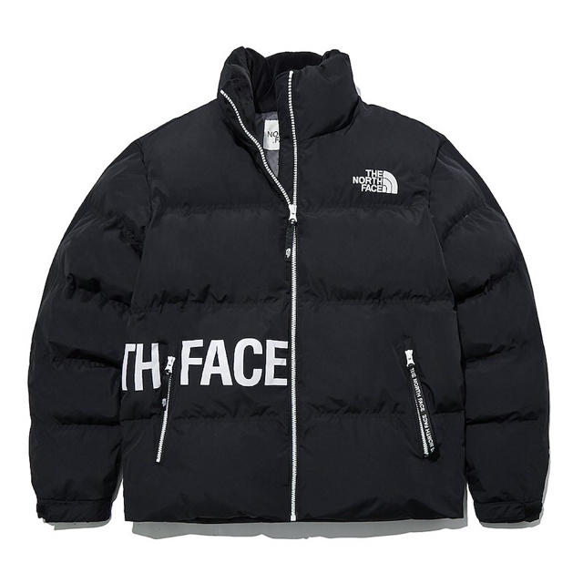 THE NORTH FACE(ザノースフェイス)の【日本未入荷❗️】ノースフェイス ダウンジャケット ALCAN 新品未使用 メンズのジャケット/アウター(ダウンジャケット)の商品写真