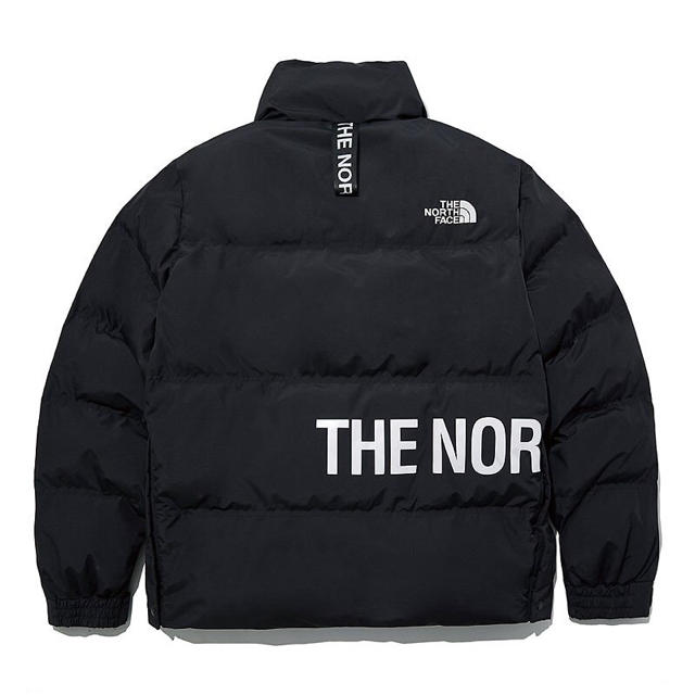 THE NORTH FACE(ザノースフェイス)の【日本未入荷❗️】ノースフェイス ダウンジャケット ALCAN 新品未使用 メンズのジャケット/アウター(ダウンジャケット)の商品写真