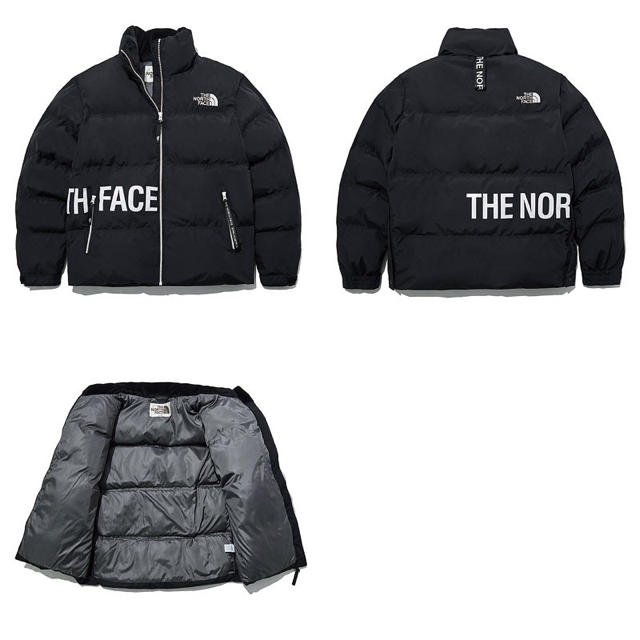 THE NORTH FACE(ザノースフェイス)の【日本未入荷❗️】ノースフェイス ダウンジャケット ALCAN 新品未使用 メンズのジャケット/アウター(ダウンジャケット)の商品写真